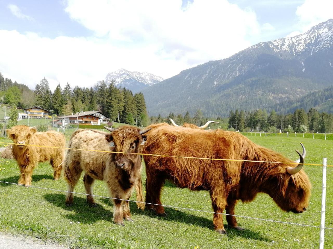 Camping Lechtal Vorderhornbach Kültér fotó