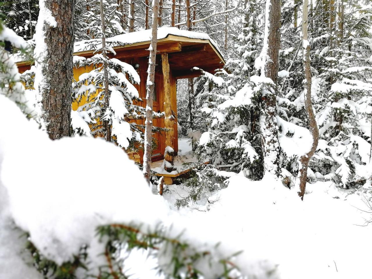 Camping Lechtal Vorderhornbach Kültér fotó